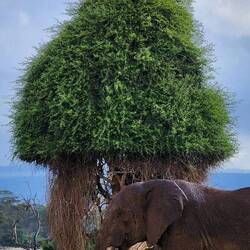 Just passing through!