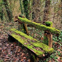 Schade, wir hatten gerade Lust!