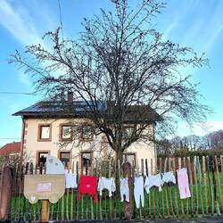 Silwingen freut sich über die Geburt von Lotte!