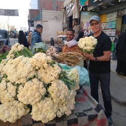 Huge cauliflowers and cabbages in the market