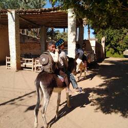 Kids coming home from school