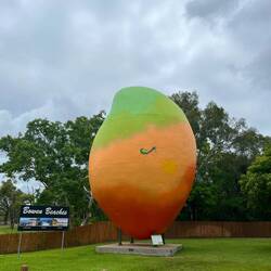 The Big Mango 🥭