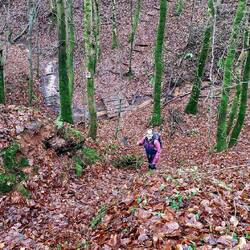 Auf der Traumschleife "der Gisinger"