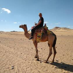 Looks comfortable but looks are deceiving.