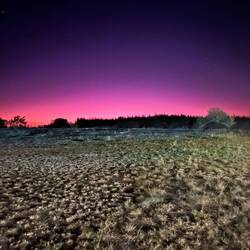 sunset in Etosha