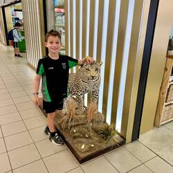 the less elusive leopard ;)
