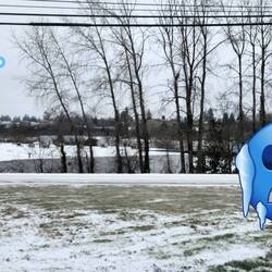 Oregon's Arctic Blast!