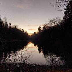 Mit dem letzten Licht am Ziel, dem Warndtweiher!