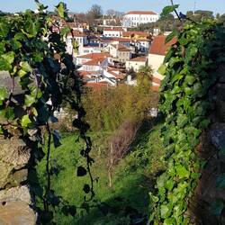 Blick durch die Burgmauer