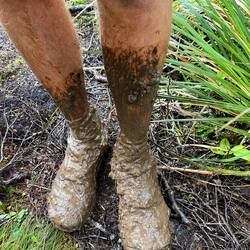 De la boue, encore et toujours! 😆