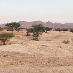 Blick aus dem Womo in die Wüste und die angrenzenden Berge