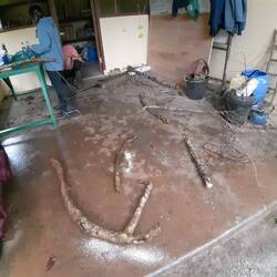 Neue Gehegeeinrichtung basteln für die Kakadus