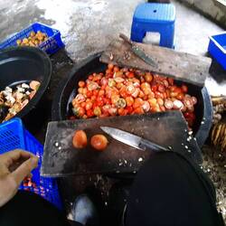 Futter für die Kasuare