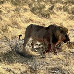 Breakfast is finished !