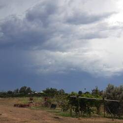 Just before the storm in Addo