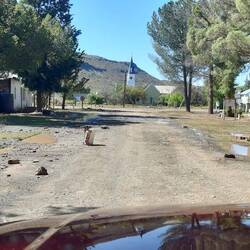 The day after the storm