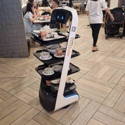 Roboter als Servicekraft