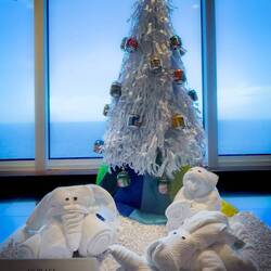 4th Place goes to Utility/Hotel Department — Aboard Insignia.
