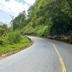 Welcome to the jungle