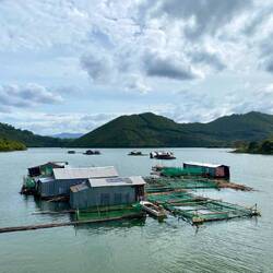Floating village