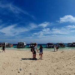 Bamboo Beach