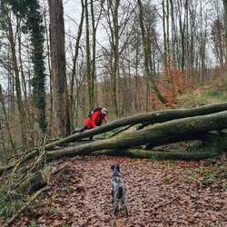 Der wunderbare Panoramaweg hatte auch einige Hindernisse!