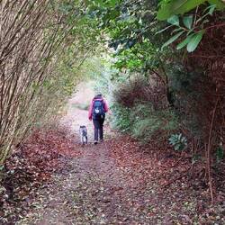 Ein Tunnel kurz vor der Grenze!
