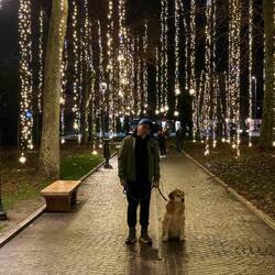 Mann mit Hund im Märchenlichterwald - Parco Catullo
