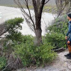 Wilsons Prom South Circuit Wanderweg