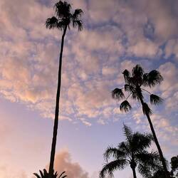 warten, warten, warten..