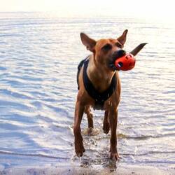 Im Wasser spielen geht immer