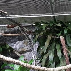 Das neue Zuhause muss erstmal gründlich erkundet werden