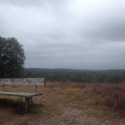 Blick vom Brunsberg über die Heide