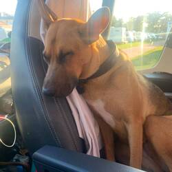 zu müde zum hinlegen