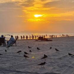 Just made it to Salalah for sunset