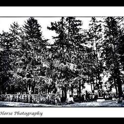 Penfield NY circa 1974