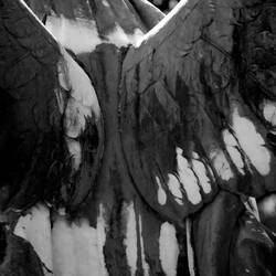 Oakland cemetery Terrell TX 2017