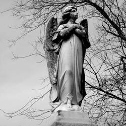 Grove Hill cemetery 2015