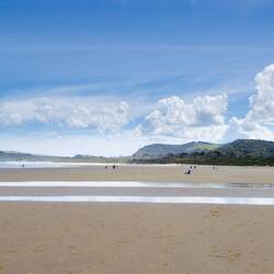 Waipati Beach
