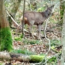 Keine 30 m entfernt!