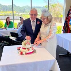 The happy couple cutting the cake.