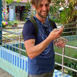 Luckily not poisonous