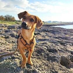 Emma gefällt es, könnte man meinen.