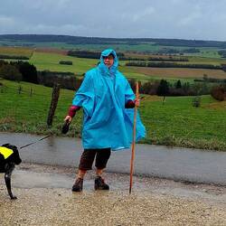 It's Poncho time!