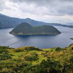 Hm, sieht das aus wie ein Meerschweinchen? 🐹