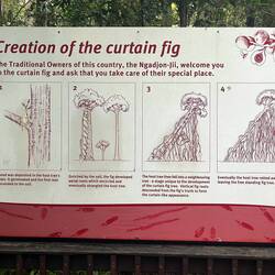 So entstehen die Curtain Figs