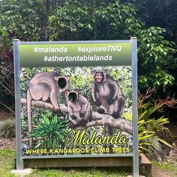 Fini und ihre Gang 🦘😁