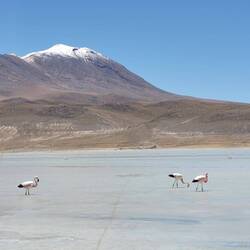 Laguna Chiar Kkota