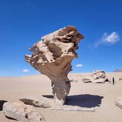 Arbol de Piedra