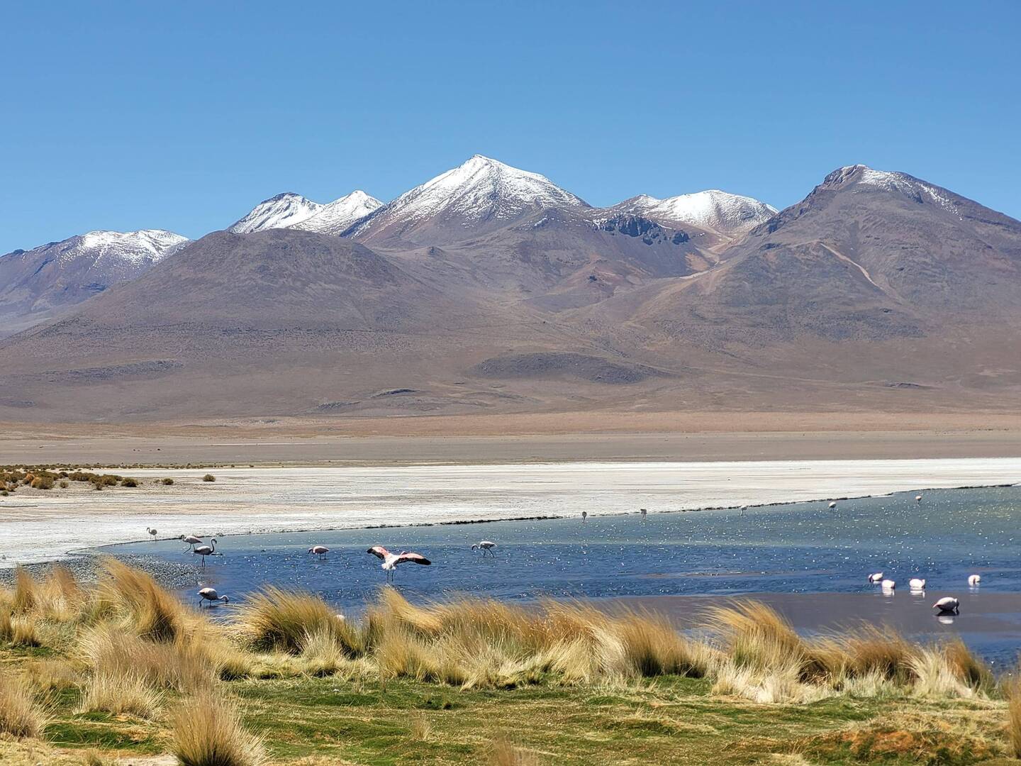 Laguna Cañapa